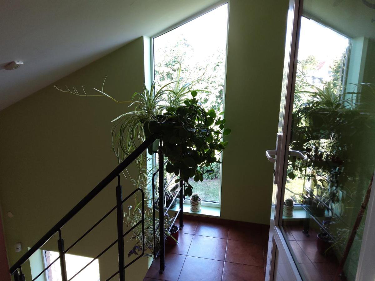 קלייפדה Apartamentai Geguciu Gatveje מראה חיצוני תמונה